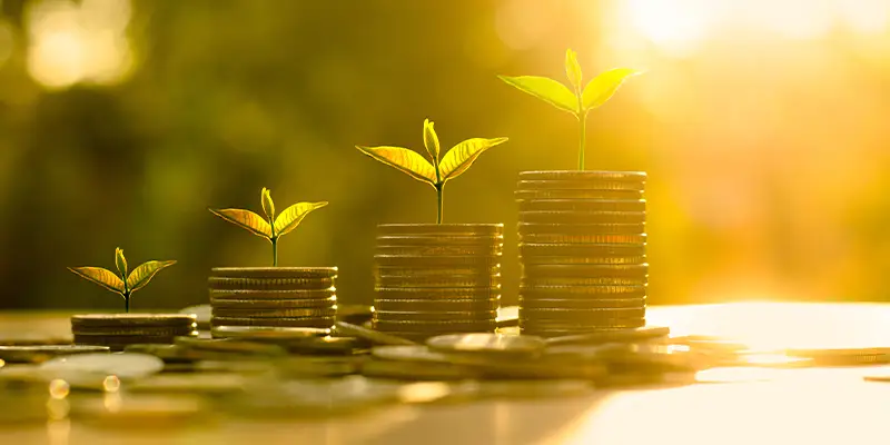 plants growing out of coins successful retirement strategies